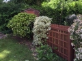 Treated Timber Fencing